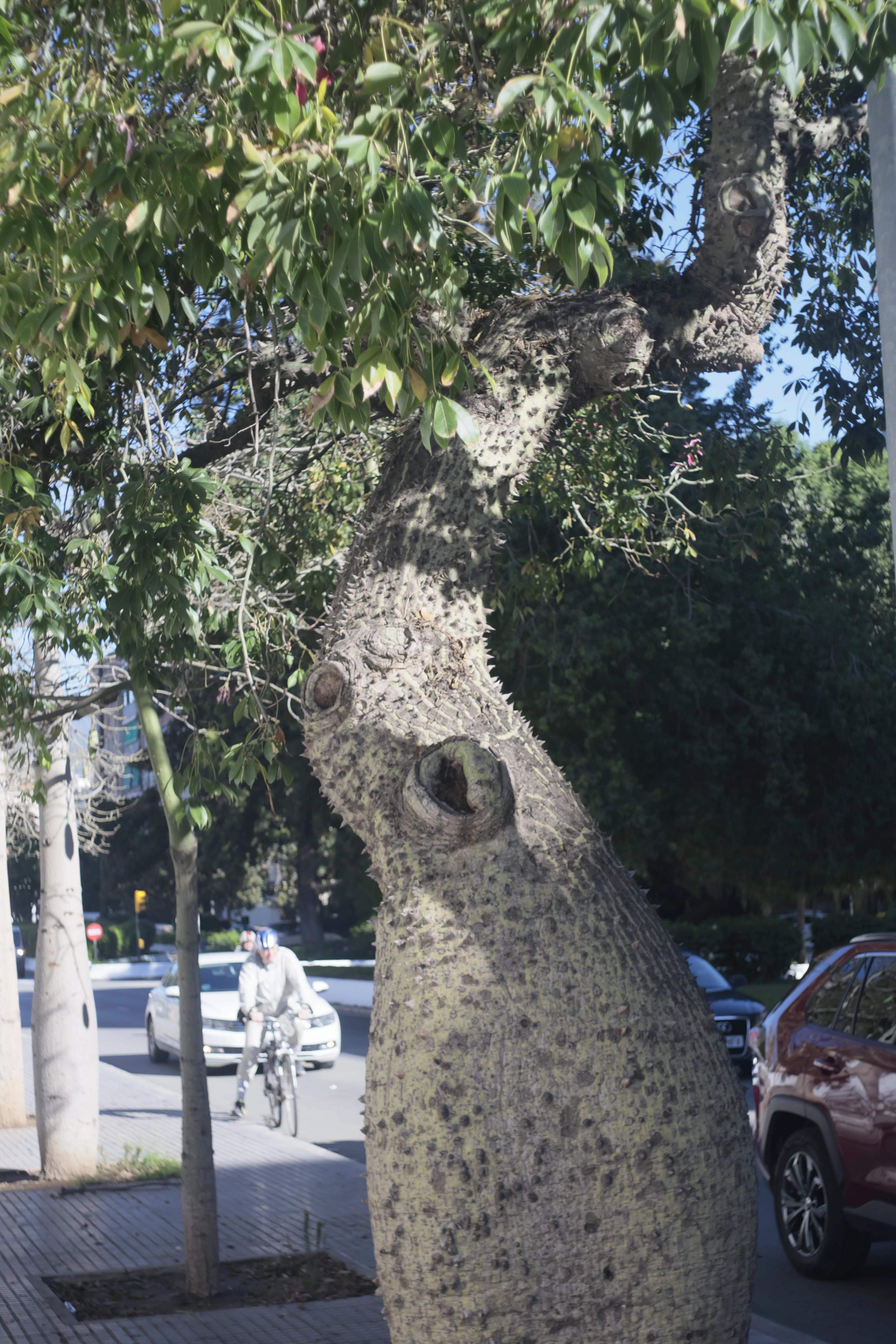 Meyer-Optik Görlitz Primagon 35mm f4.5 (M42) - _I4A0980.jpg